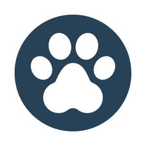 Picture of What Dog Breed