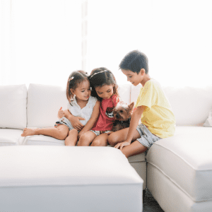 Dog Breeds for Families