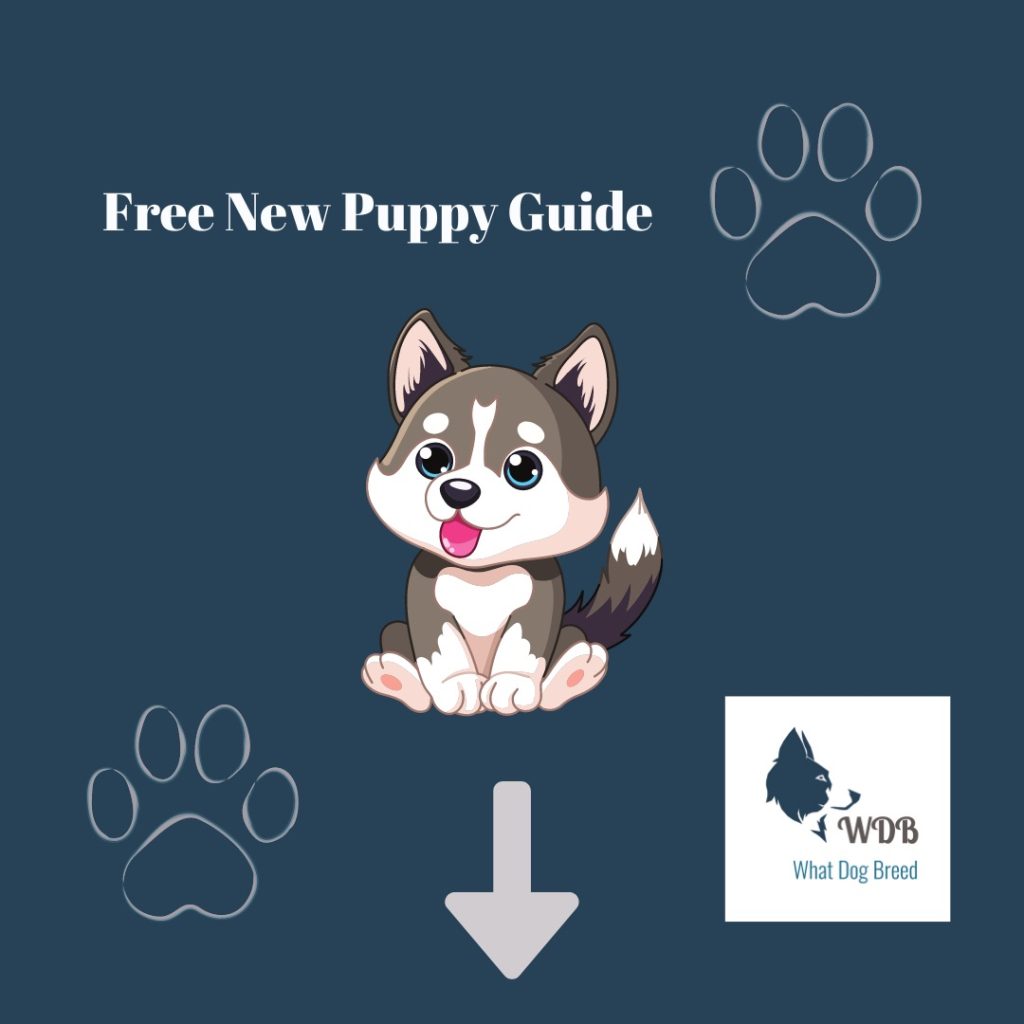 Free New Puppy Guide