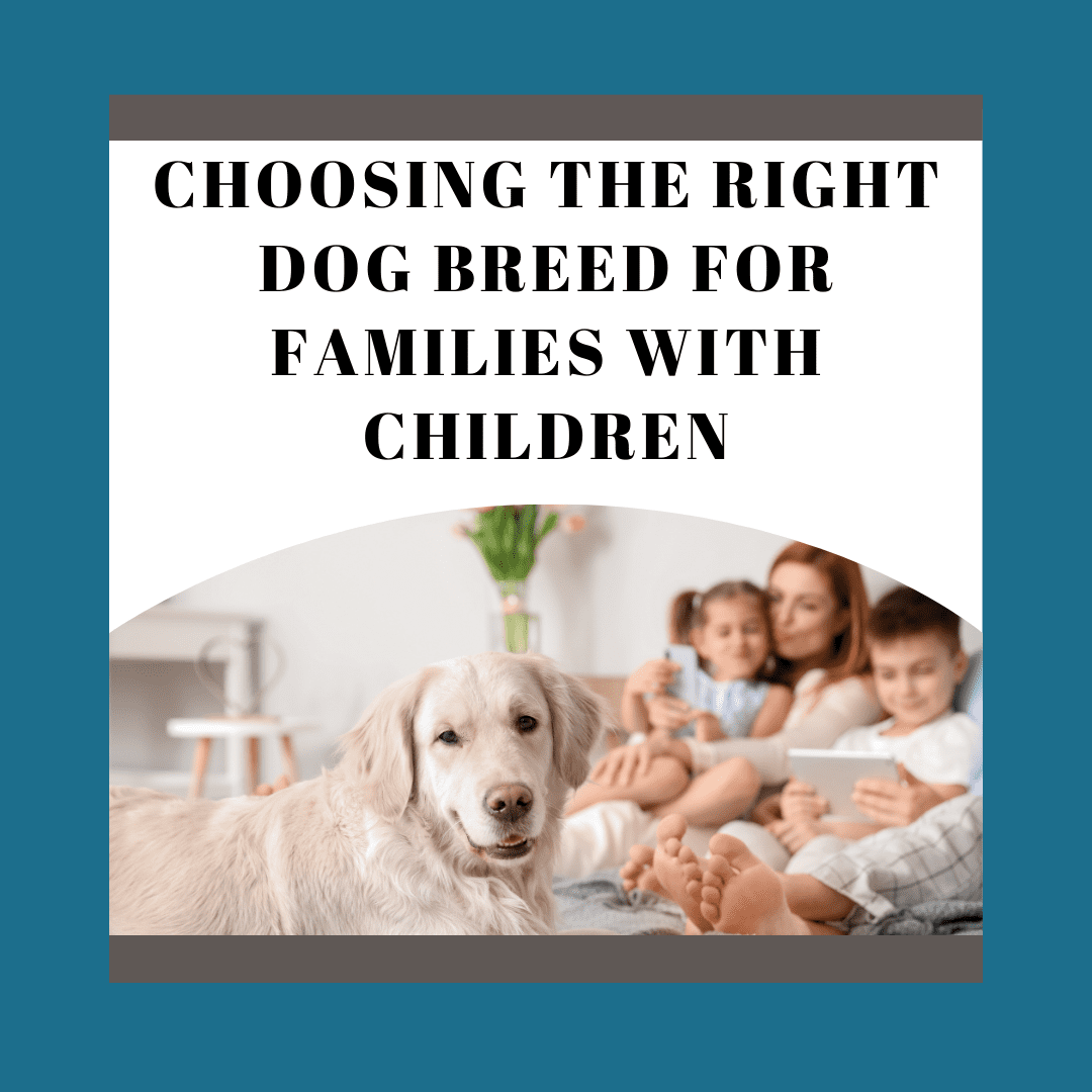 Dog Breed for Families