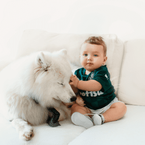 Dog Breed for Families