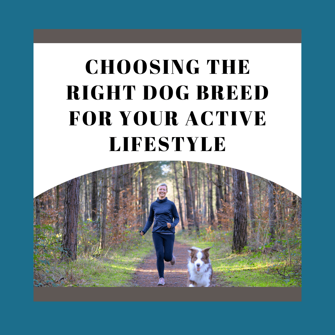 Choosing the Right Dog Breed for an Active Lifestyle