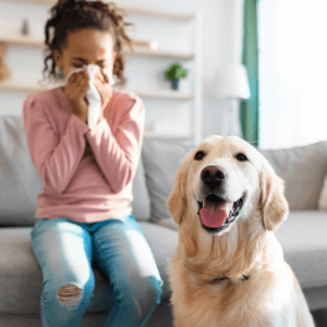 Hypoallergenic Dog Breeds