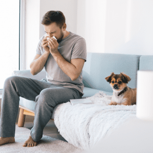 Hypoallergenic Dog Breeds