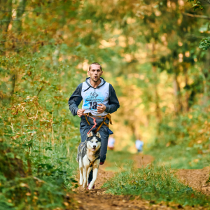 Choosing the Right Dog Breed for an Active Lifestyle