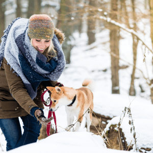 Choosing the Right Dog Breed for an Active Lifestyle