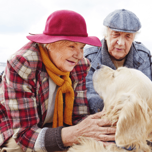 Best Dog Breed for Seniors