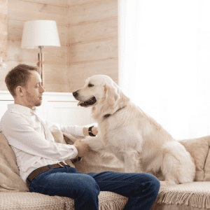How to Choose the Best Dog Breed for Apartment Dwellers