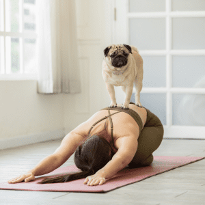 Choosing the Right Dog Breed for an Active Lifestyle