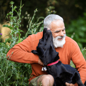 Best Dog Breed for Seniors