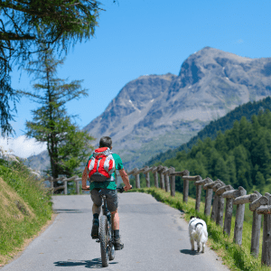 Choosing the Right Dog Breed for an Active Lifestyle