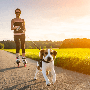 Choosing the Right Dog Breed for an Active Lifestyle