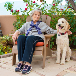 Best Dog Breed for Seniors